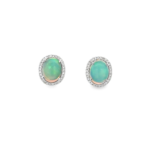 14K White Gold Ethiopian Opal Stud Earrings